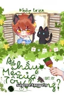 Ai Thấy Mèo Của Tôi Không