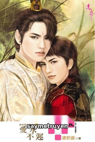 Ái Vĩnh Bất Trì