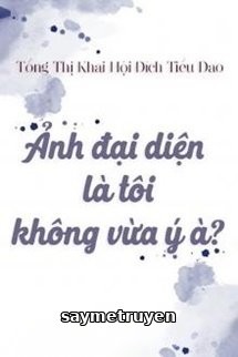 Ảnh Đại Diện Là Tôi, Không Vừa Ý À