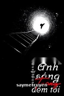 Ánh Sáng Trong Đêm Tối