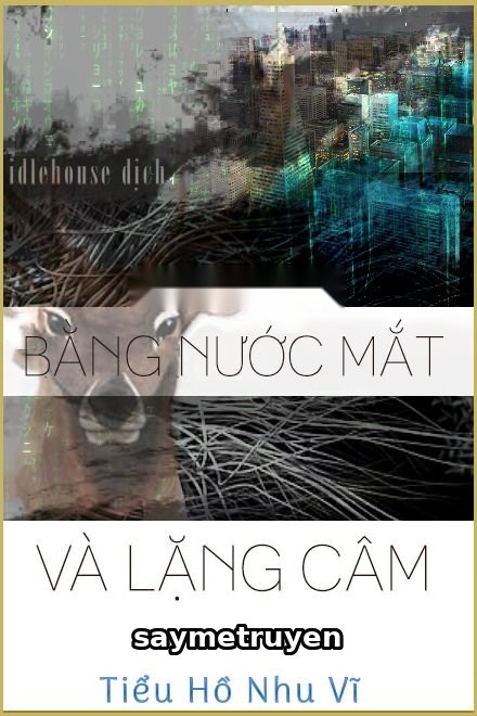 Bằng Nước Mắt Và Lặng Câm