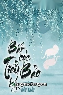 Bắt Cóc Tiểu Bảo ký