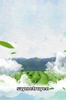 Bí Mật Đồi Trà