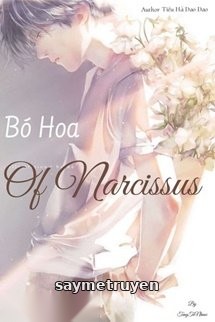 Bó Hoa Của Narcissus