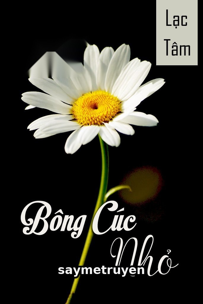 Bông Cúc Nhỏ