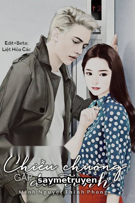 Chiều Chuộng Gặp Đa Tình