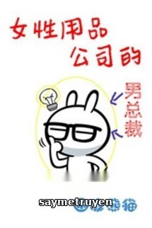 Chủ Tịch Công Ty Băng Vệ Sinh