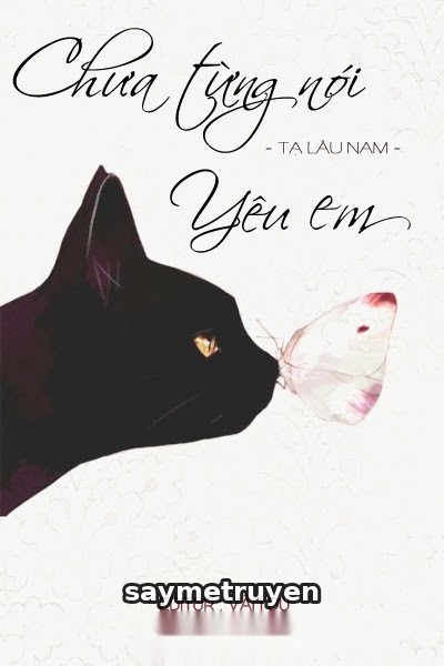 Chưa Từng Nói Yêu Em
