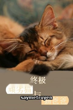 Chung Cực Ngoan Liệt Miêu Dữ Miêu Ba Ba