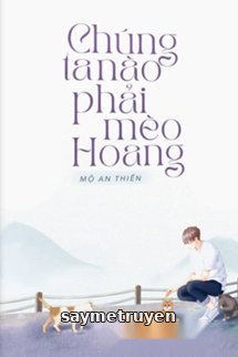 Chúng Ta Nào Phải Mèo Hoang
