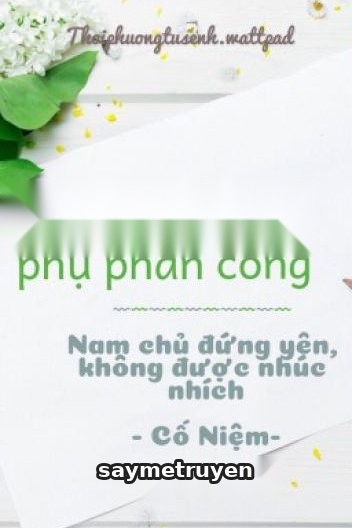Con Đường Nữ Phụ Phản Công