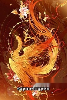 Mỗi Ngày Kim Ô Đều Bận Rộn