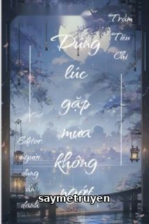 Đúng Lúc Gặp Mưa Không Ngớt - Trầm Tiêu Chi