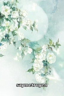 Hoa Nhài Cùng Xuân - Hàn Tê