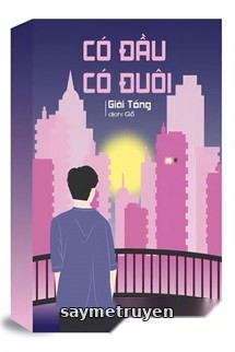 Có Đầu Có Đuôi - Giải Tổng