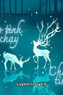 Theo Tình Tình Chạy, Chạy Tình Tình Theo