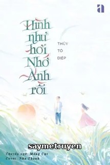 Hình Như Hơi Nhớ Anh Rồi