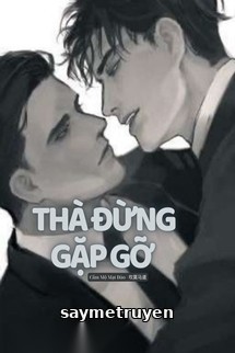 Thà Đừng Gặp Gỡ (Đam Mỹ)