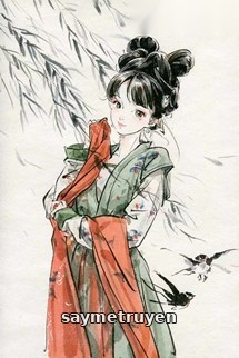 Vào Nhầm Lồng Chim - Hàm Hương