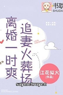 Ly Hôn Nhất Thời Sảng, Truy Thê Hỏa Táng Tràng