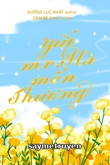 Gửi Mr. Hà Mến Thương Của Em - Đường Lục Nhất