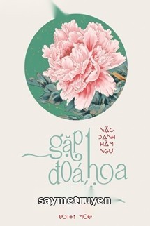 Gặp Một Đoá Hoa Mới - Nặc Danh Hàm Ngư