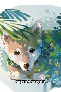 Bị Đưa Vào Ổ Sói Phải Làm Sao Bây Giờ