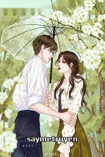 Chồng Cũ Của Tôi Mất Trí Nhớ Rồi