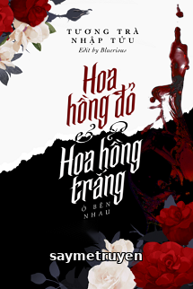 Hoa Hồng Đỏ Và Hoa Hồng Trắng Ở Bên Nhau