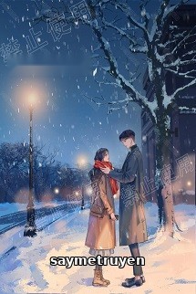 Ngươi Nhìn Thấy Bóng Dáng Của Ta Sao [Vô Hạn Lưu]