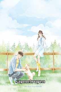 Đi Ngược Chiều Gió Đến Bên Cạnh Em