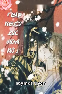 Gặp Người Lúc Hoa Nở