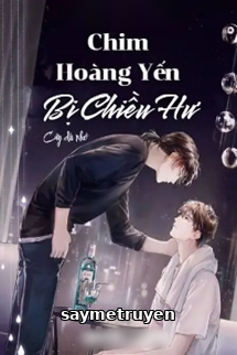 Chim Hoàng Yến Bị Chiều Hư