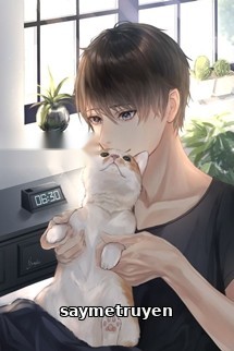 Hình Như Mèo Của Cậu Bị Ngốc