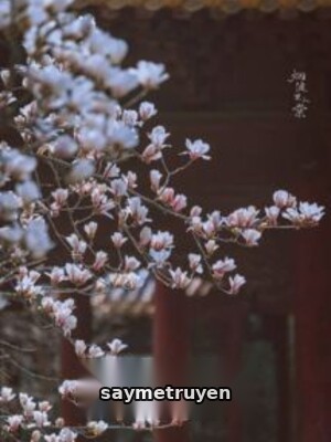 Đào Hoa Tận, Cố Nhân Quy