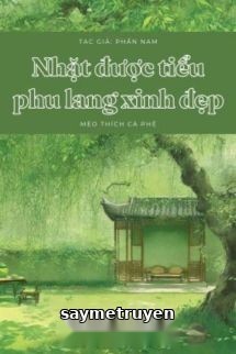 Nhặt Được Tiểu Phu Lang Xinh Đẹp