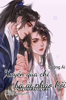 Xuyên Qua Chi Bá Ái Pháo Hôi