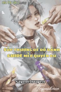 Súp Thưởng Để Dỗ Dành Guide Mèo Quyến Rũ