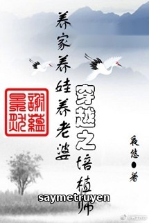Xuyên Việt Chi Bồi Thực Sư
