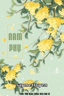 Nam Phụ - Tang Tâm Bệnh Cuồng Đích Qua Bì
