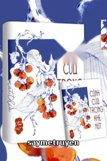 Cánh Cửa Trong Khe Nứt - Matthia
