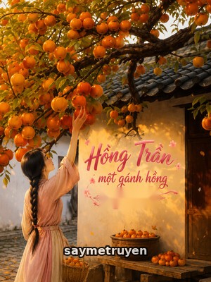 Hồng Trần Một Gánh Hồng