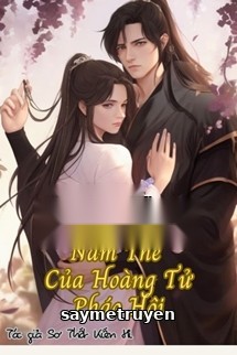Xuyên Thành Nam Thê Của Hoàng Tử Pháo Hôi