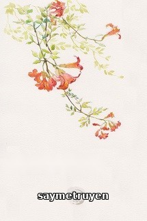 Liên Hoa - Mễ Hoa