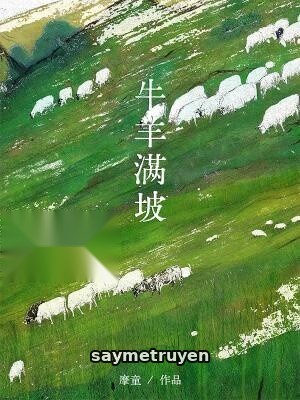Bò Cừu Phủ Kín Triền Đồi