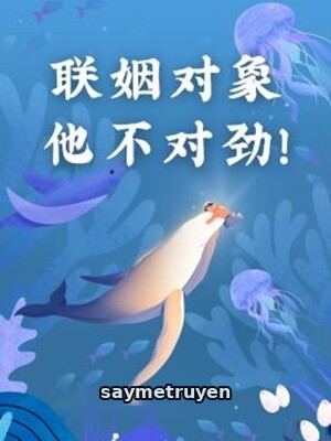 Đối Tượng Liên Hôn Này Không Ổn Lắm!