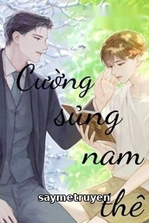 Cường Sủng Nam Thê