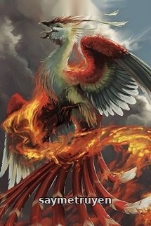 Đấu La Chi Thiên Cơ Phượng Hoàng