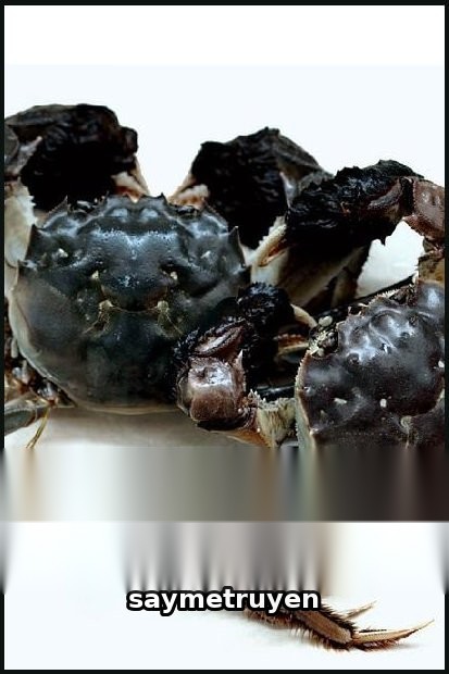 Đế Vương Hồ Dương Trừng