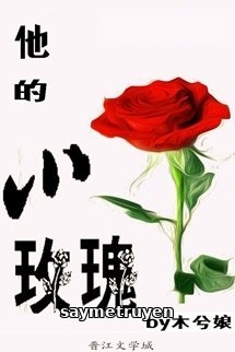 Đóa Hồng Nhỏ Của Anh